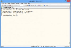 Linux系统禁ping和开启转发功能