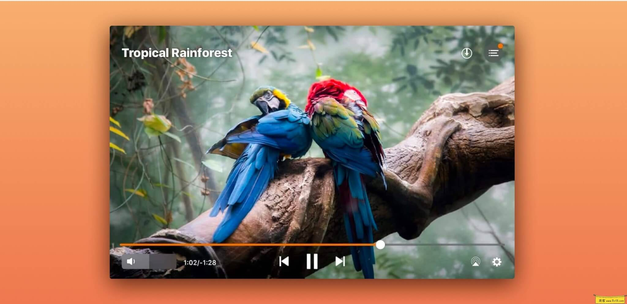 Elmedia player Mac版：全能Mac视频播放器、支持流媒体、在线字幕