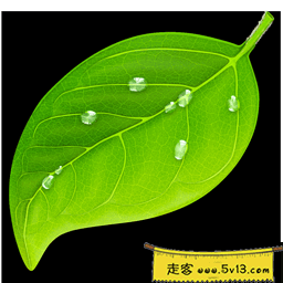 Coda 2.7.6 强大的Web编辑器 Coda 2.7.6 Mac破解版