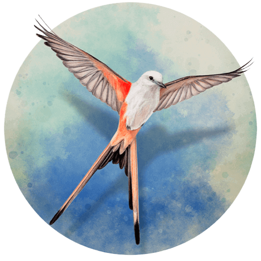 展翅翱翔 WINGSPAN Mac版 策略卡牌游戏 v1.6.211.1216.1404 中文直装版